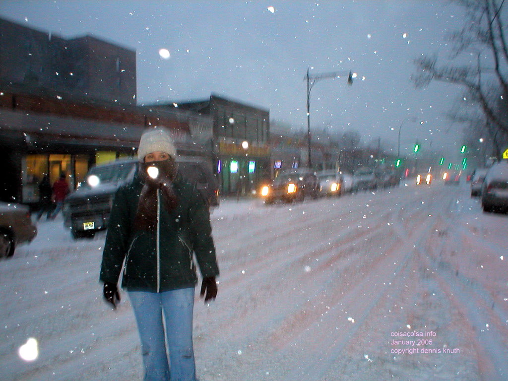 Snowflakes flashed