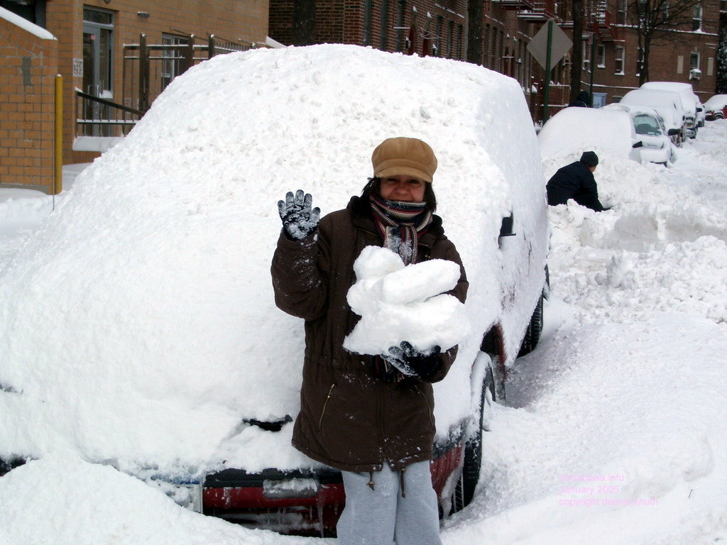 Heloisa carries snowblocks