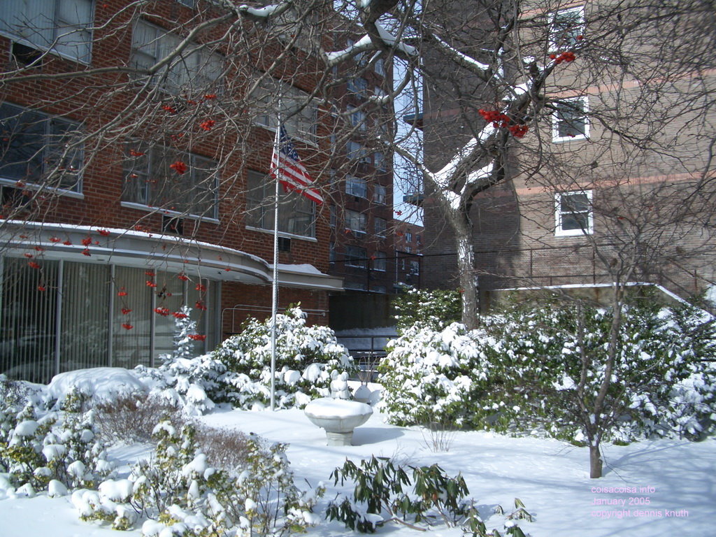 Flag in Elmhurst Towers snow