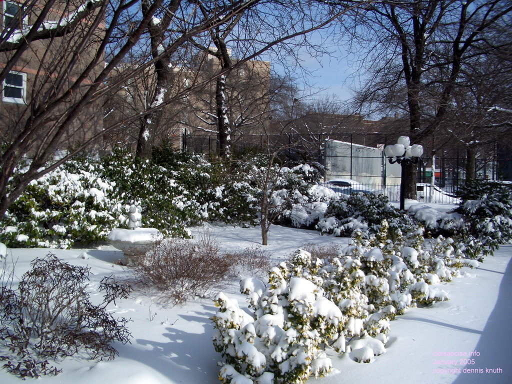 Elmhurst Towers snow in Elmhurst
