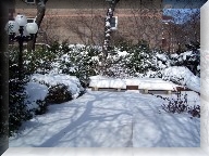 Bench covered with snow
