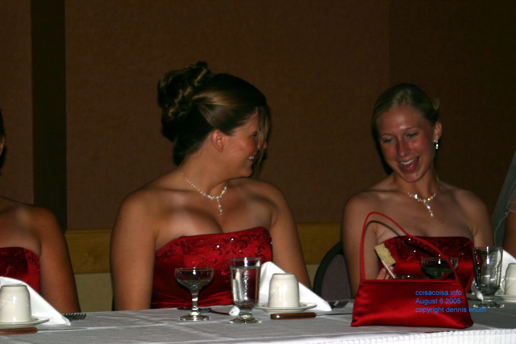 Julia's brides maids talking 