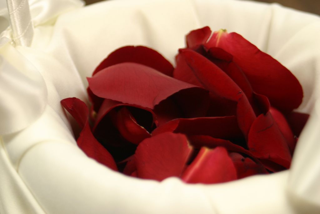 2005_08_00_flowers_and_favors_020.jpg (large)