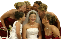 Bridesmaids Before the Wedding