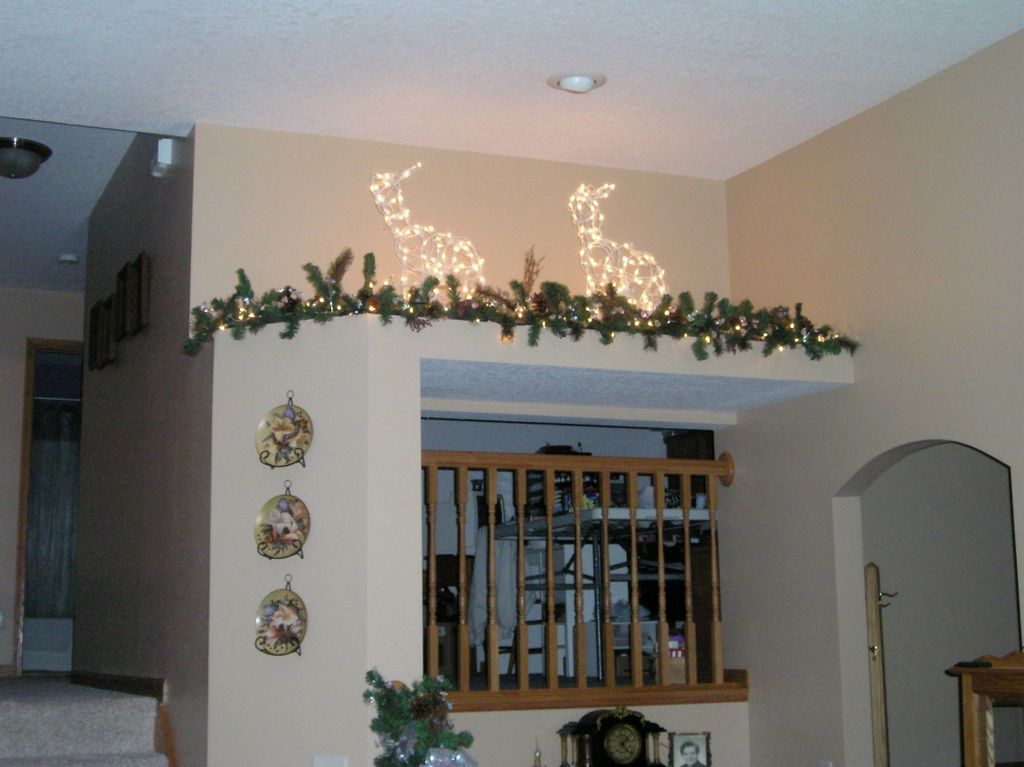 Deer on the wall