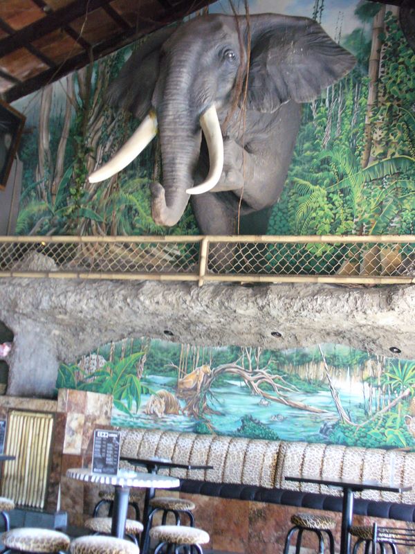 2006_03_27_mexico_30.jpg (large)