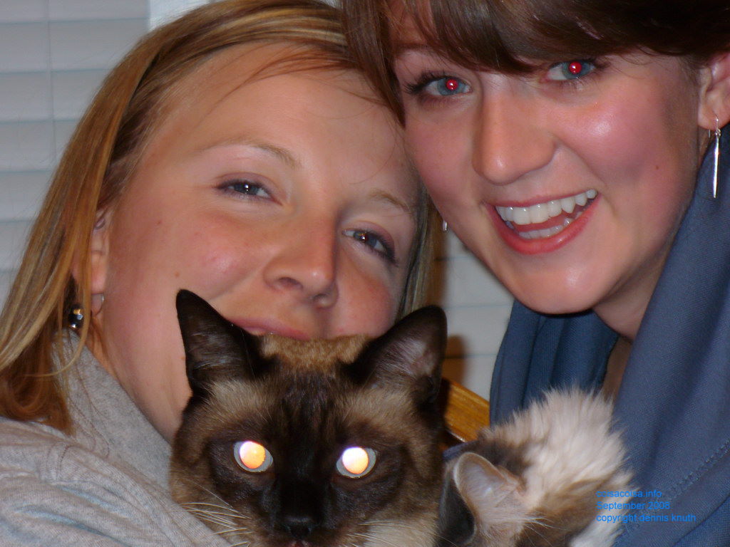 Kaydi and friend cuddle a kat