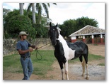 2009_07_15_coffee_farm_29.jpg