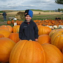 Pumpkin Patch and Halloween