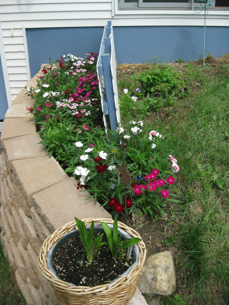 2009_06_24_jared_and_flowers_4.jpg (large)