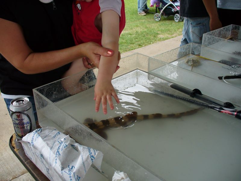 2007_06_09_kelsy_and_jared_durand_days_004.jpg (large)