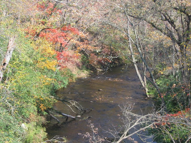 Babbling Bidge Creek