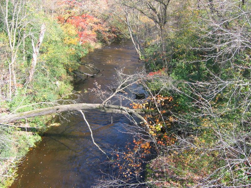 Bridgecreek runs into the Eau Claire River