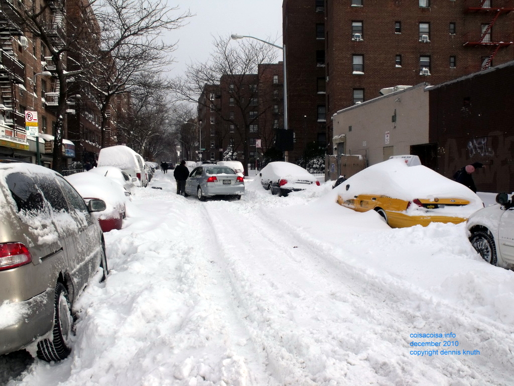 The New York Blizzard of 2010 (large)