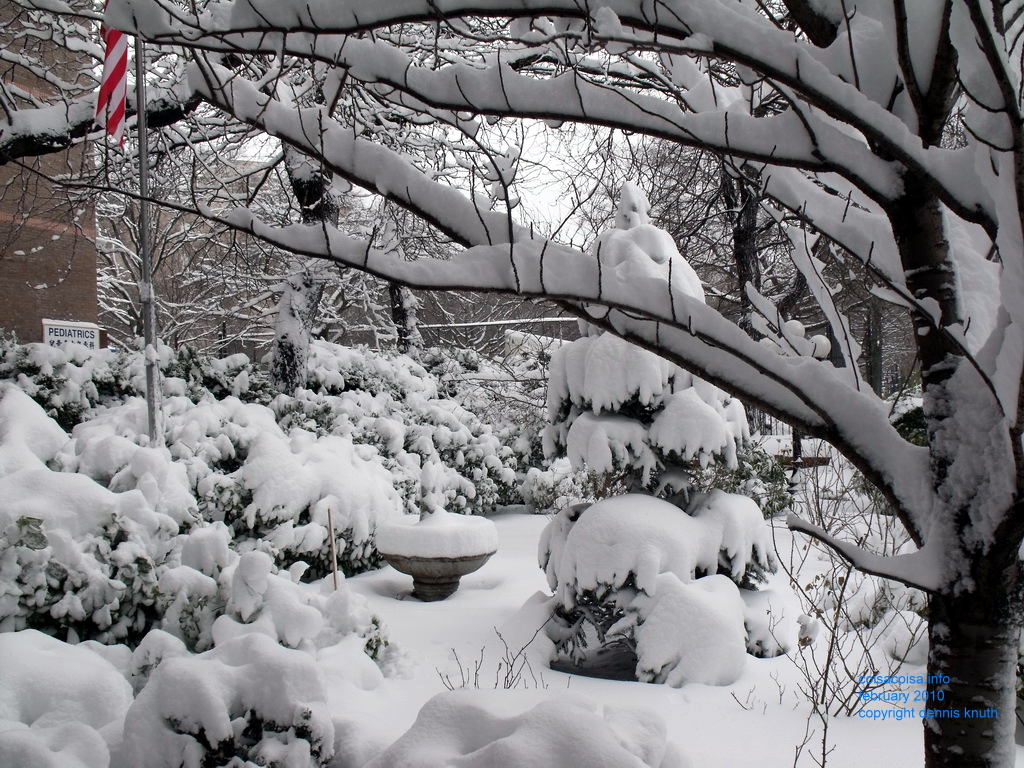 Snow covered flag in the Winter Garden