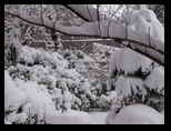 Snow Hurricane