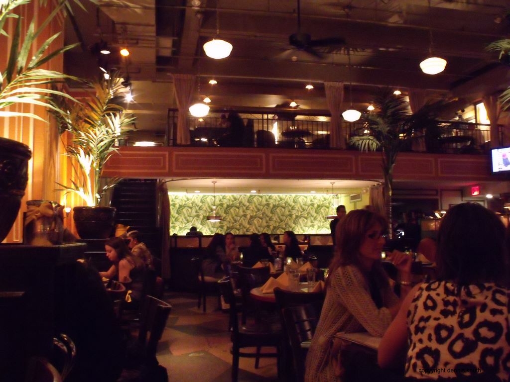 havana nights