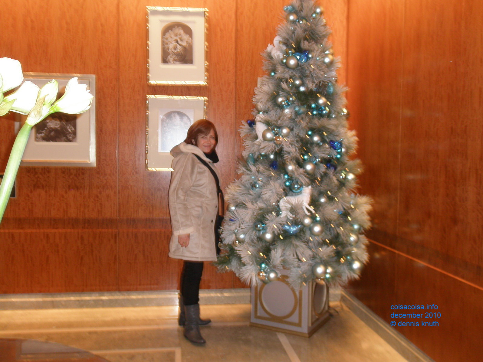 2010_12_19_lisete_concinha_ny_012.jpg (large)