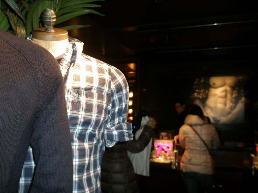 2010_12_19_windows_ny_004.jpg (large)