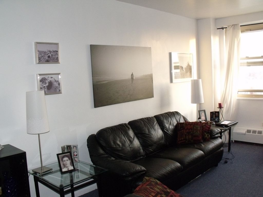 Surf from Ikea (large) Queens Elmhurst Living Room