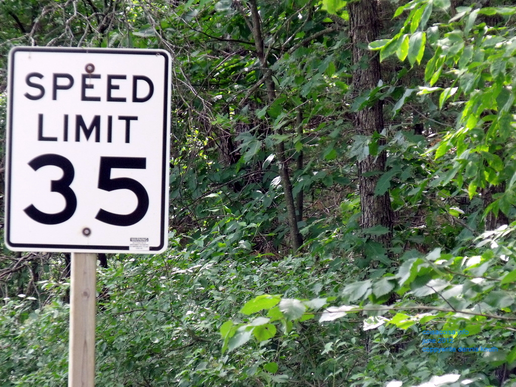 Speed Kills
