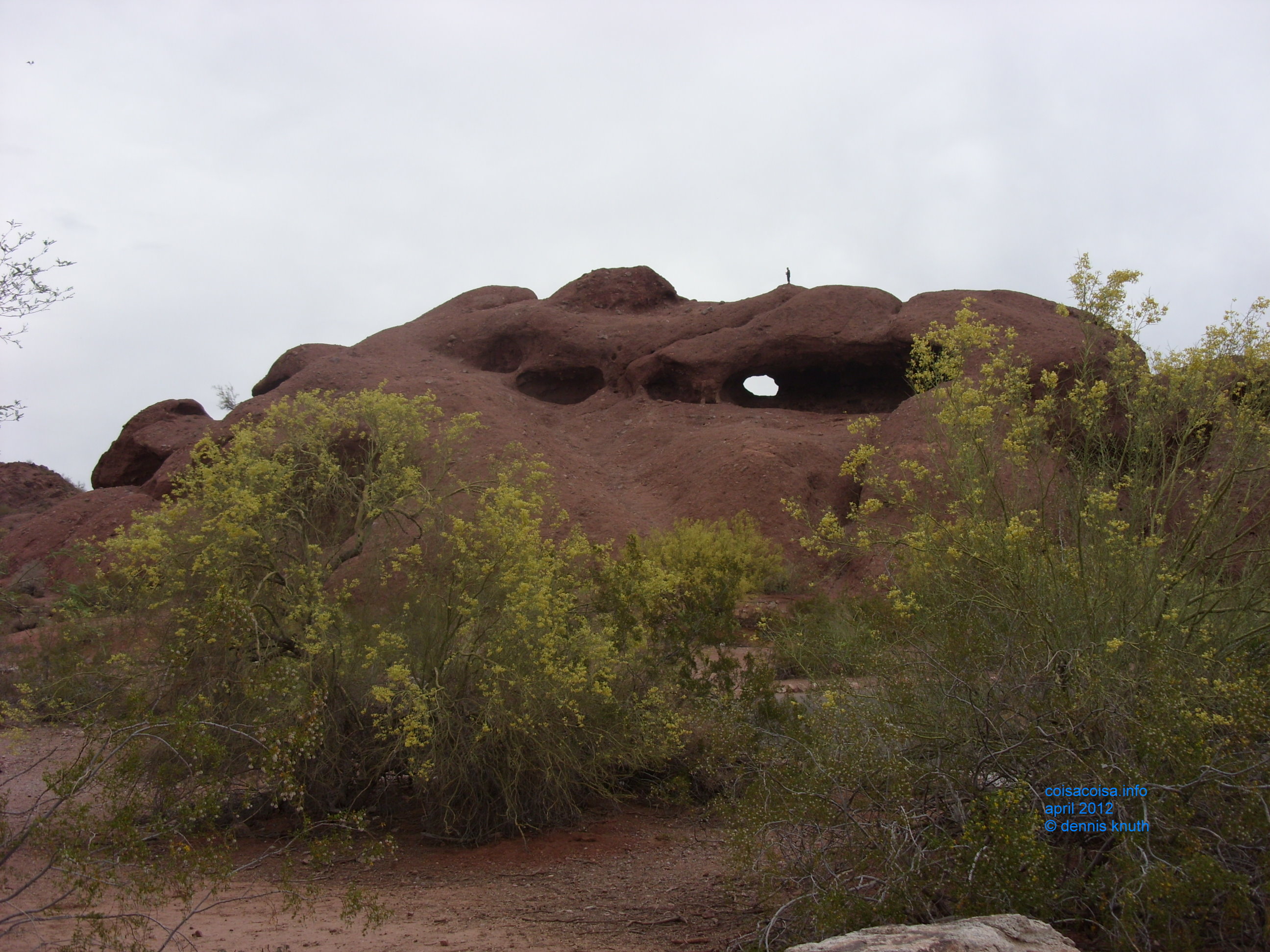 2012_04_25_arrive_a_papago_park_0017.jpg (large)