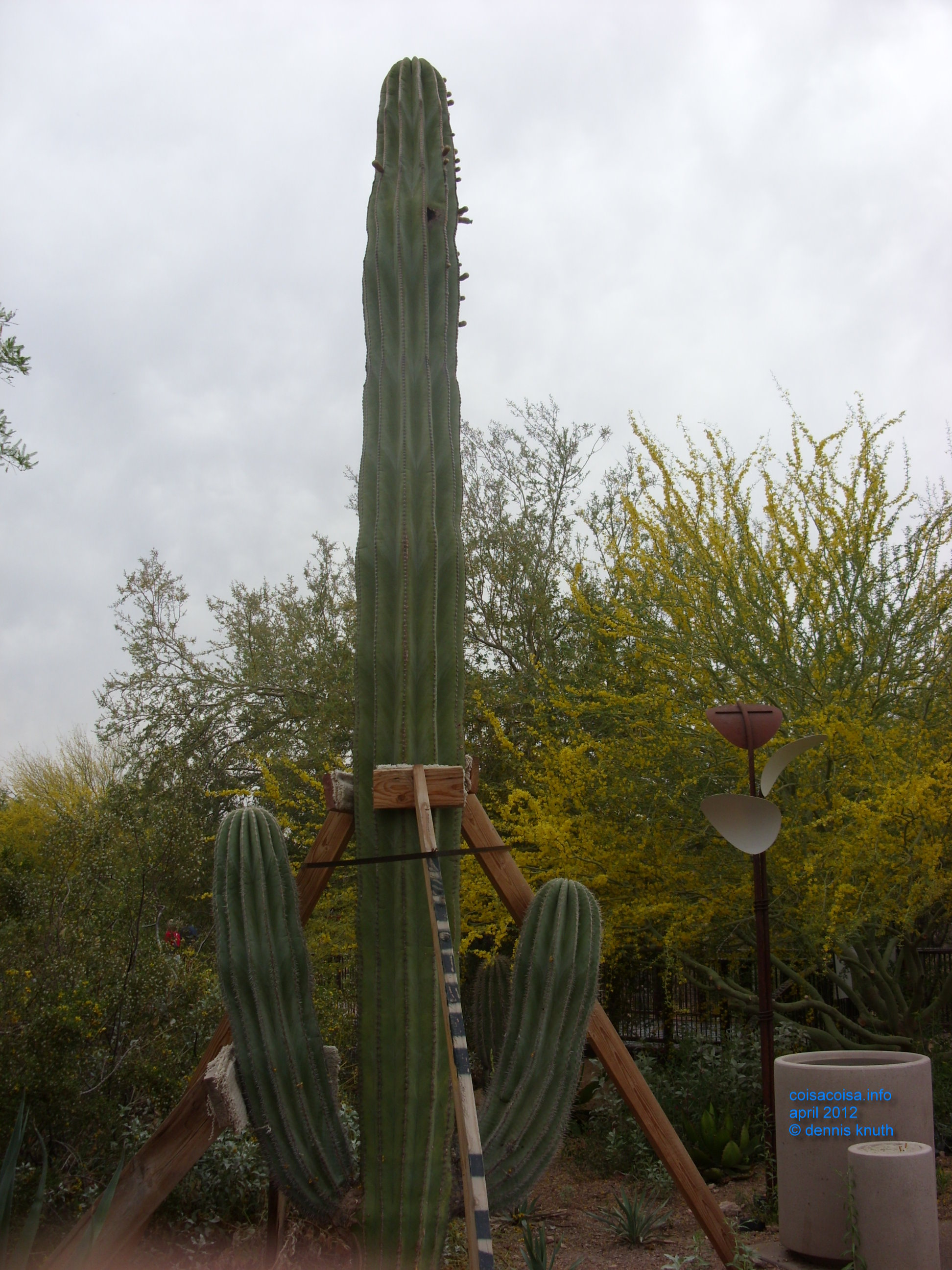 2012_04_25_arrive_b_botanical_garden_0002.jpg (large)