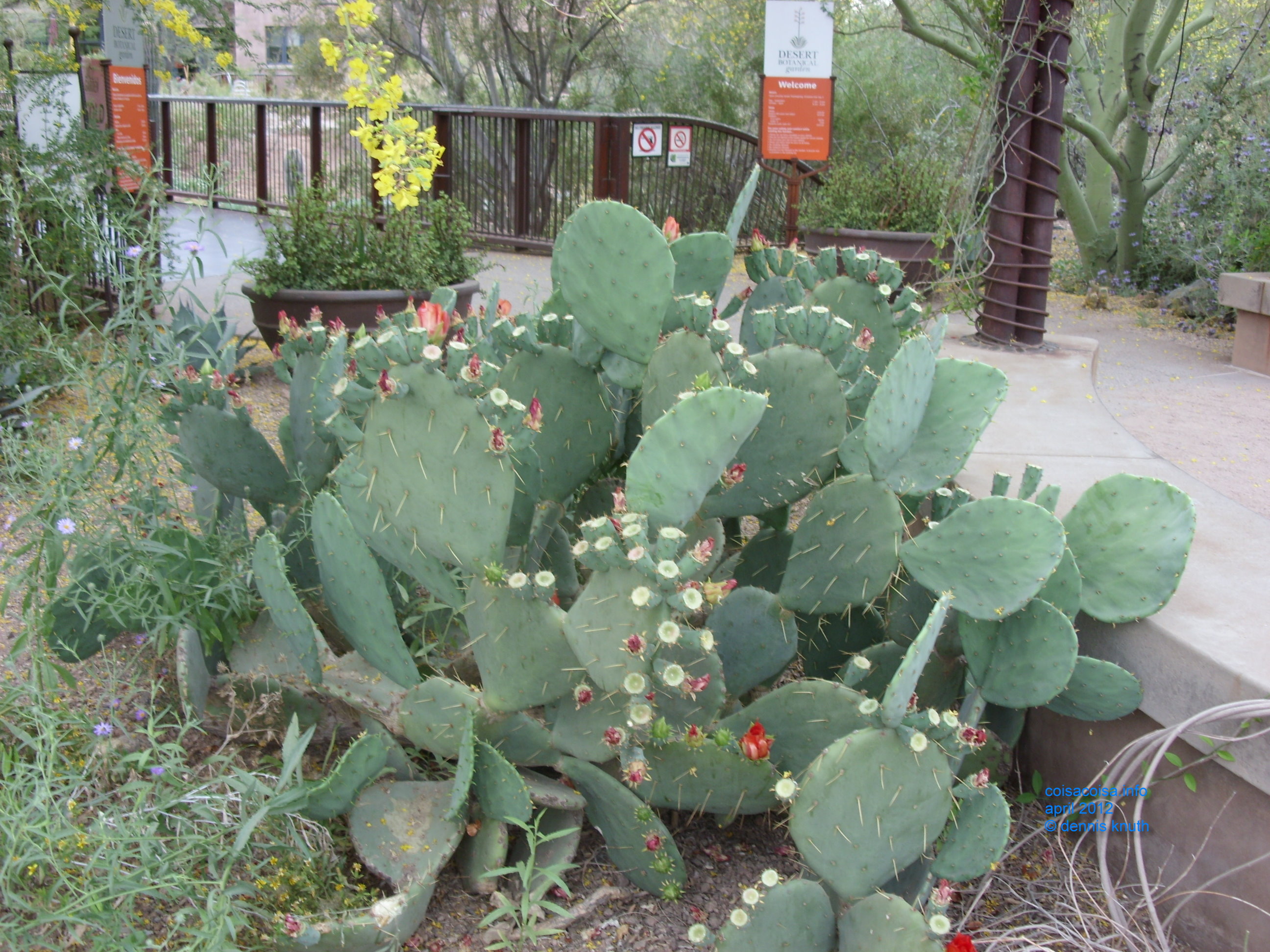 2012_04_25_arrive_b_botanical_garden_0003.jpg (large)