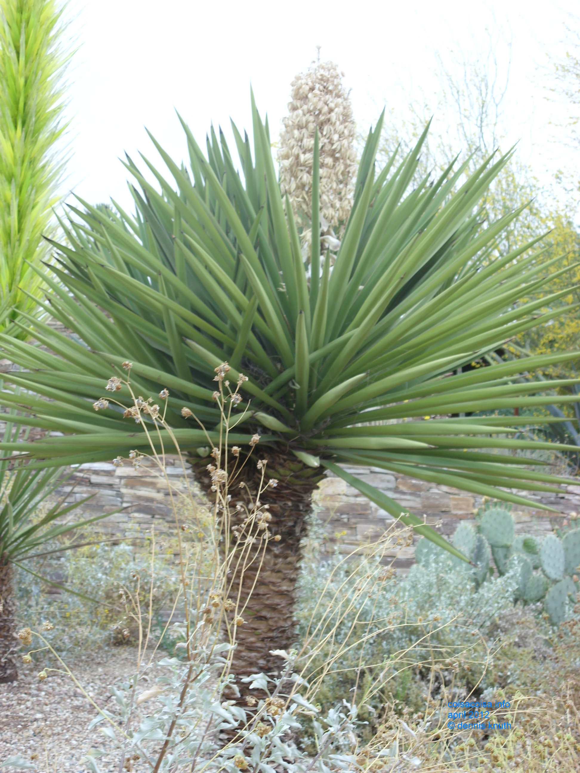 2012_04_25_arrive_b_botanical_garden_0011.jpg (large)