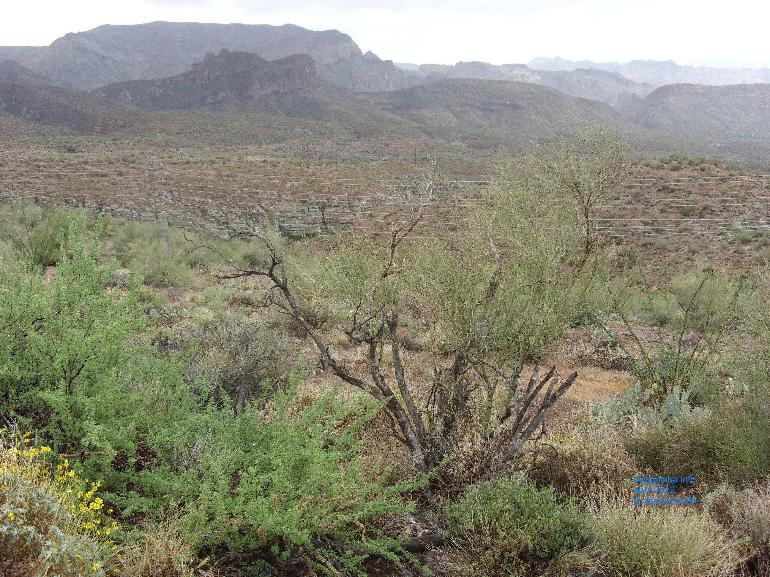 2012_04_26_b_apache_trail_tortilla_flat_0026.jpg (large)