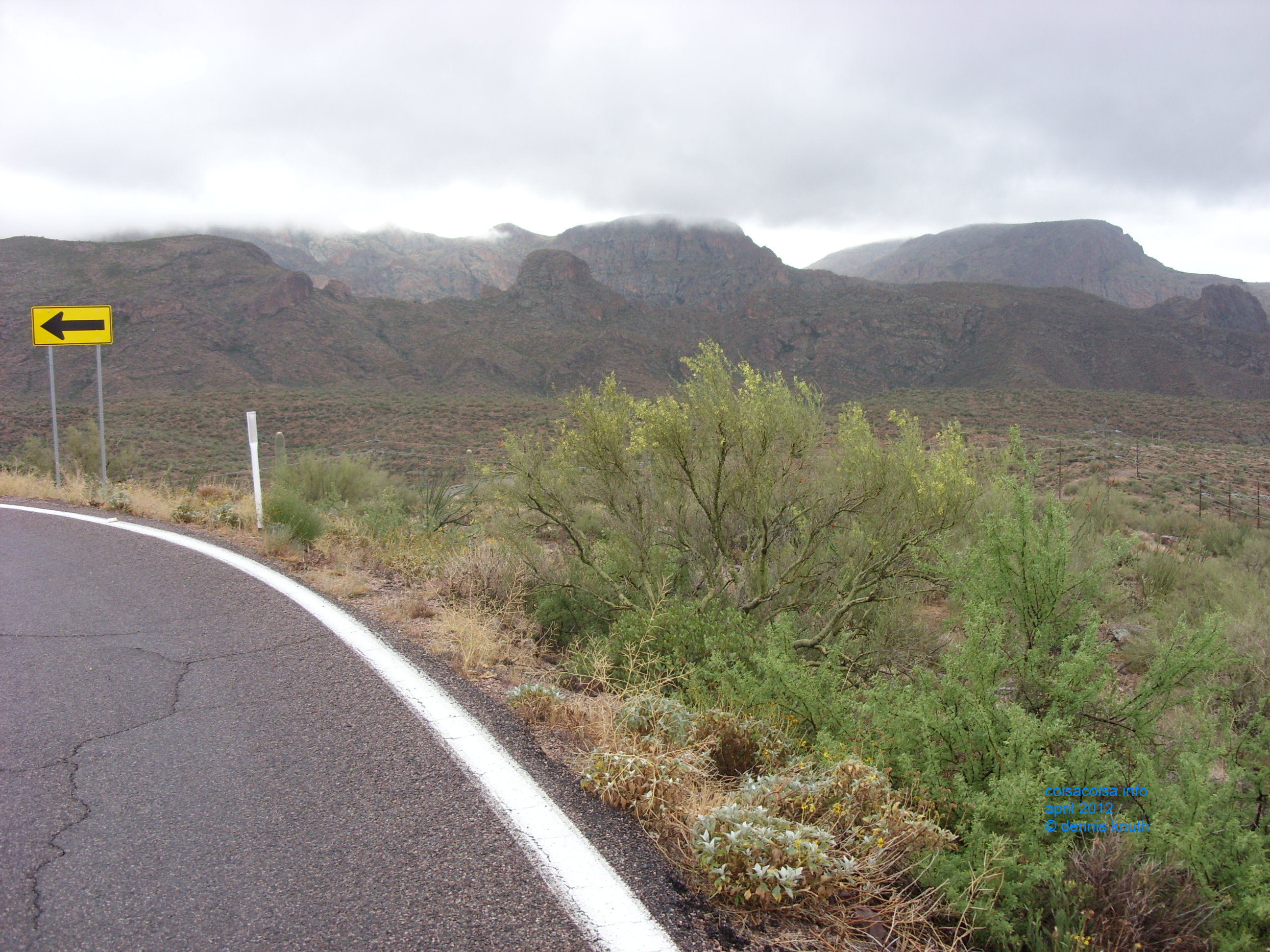 Desert curving road and rain clouds on the desert