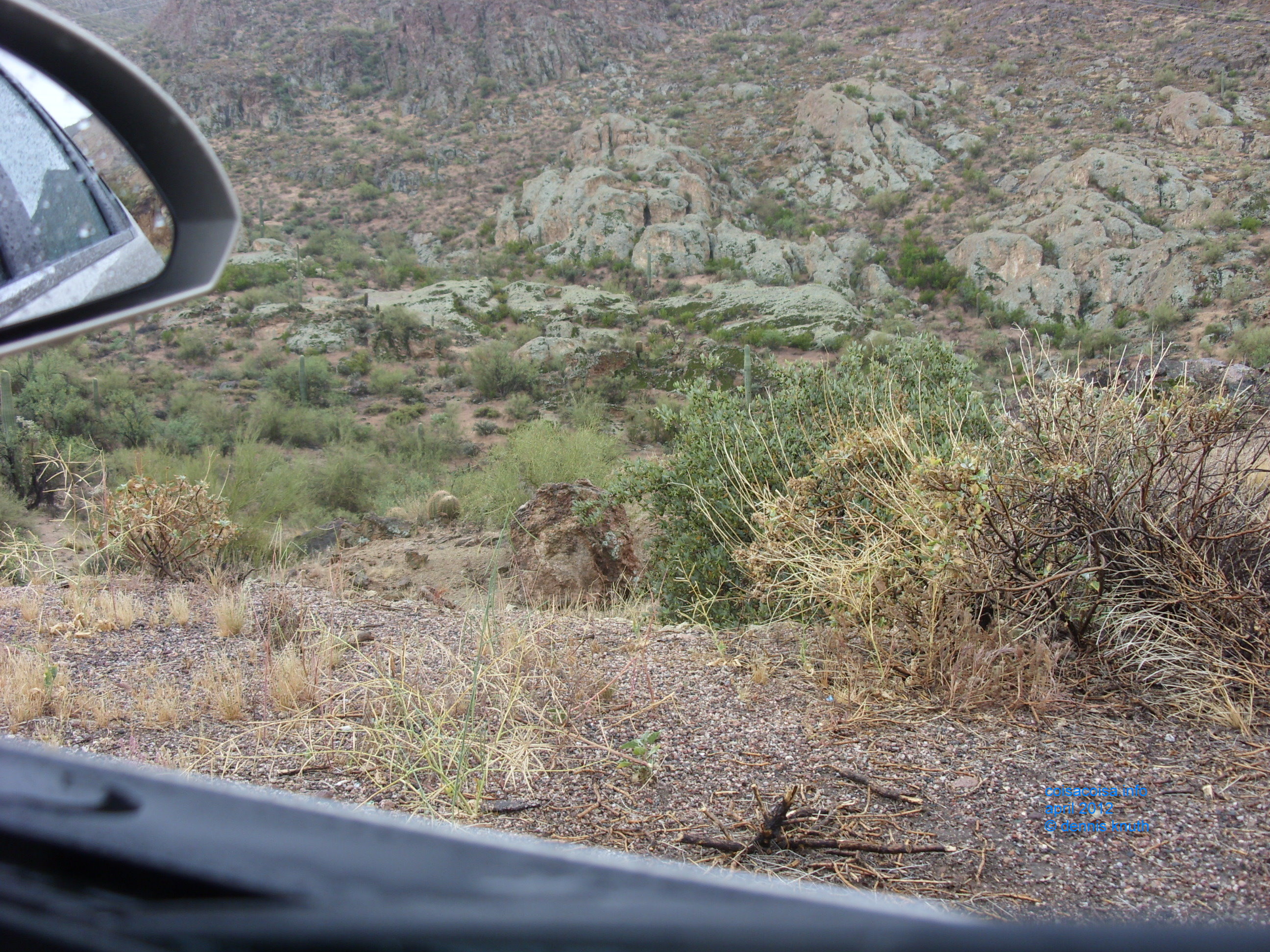 2012_04_26_b_apache_trail_tortilla_flat_0039.jpg (large)