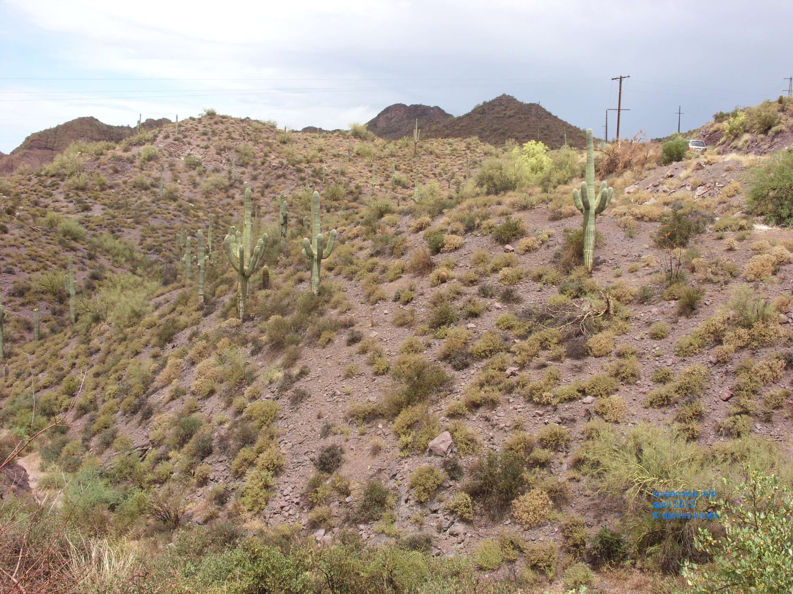 2012_04_26_b_apache_trail_tortilla_flat_0043.jpg (large)