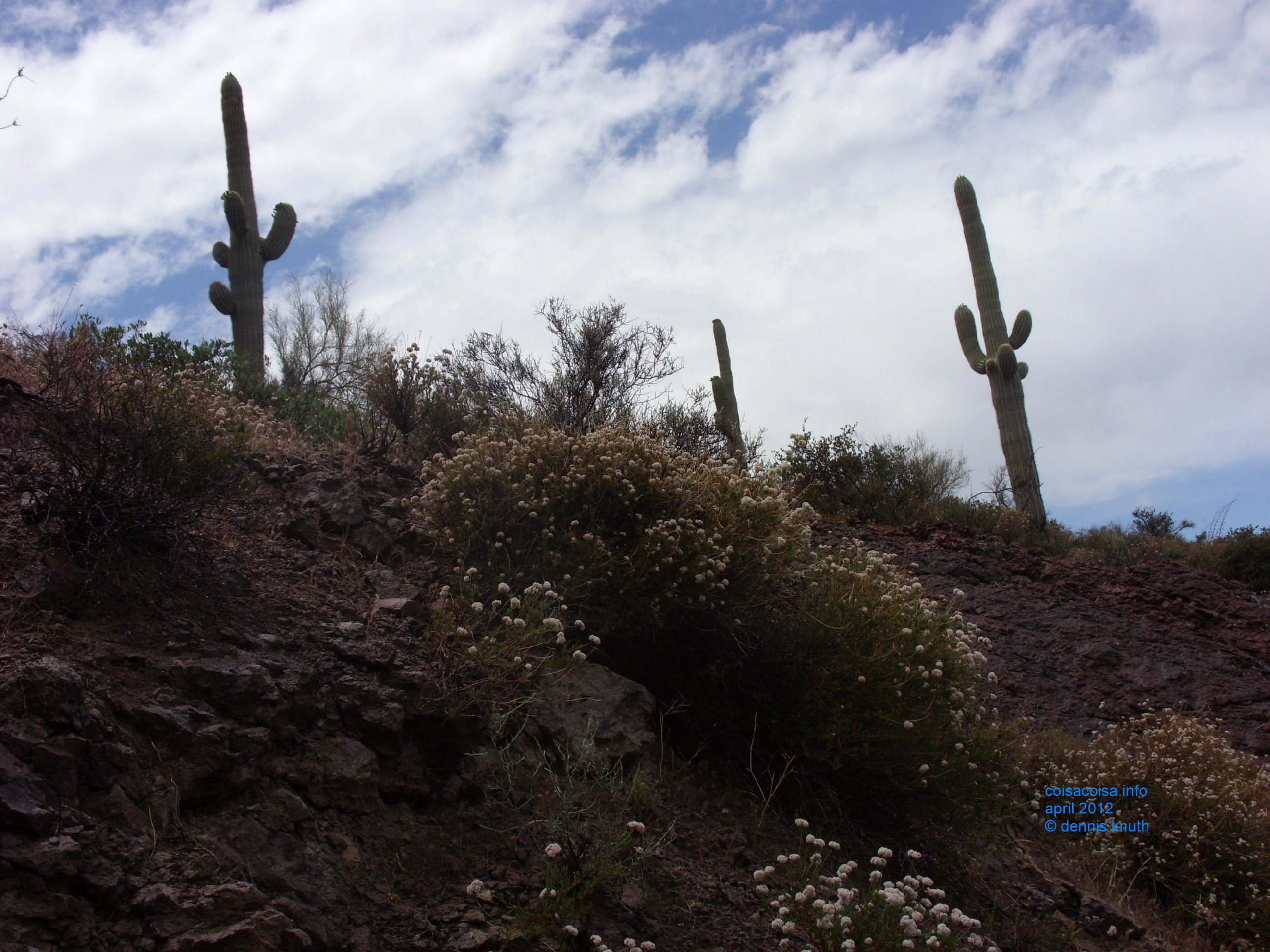 2012_04_26_b_apache_trail_tortilla_flat_0045.jpg (large)