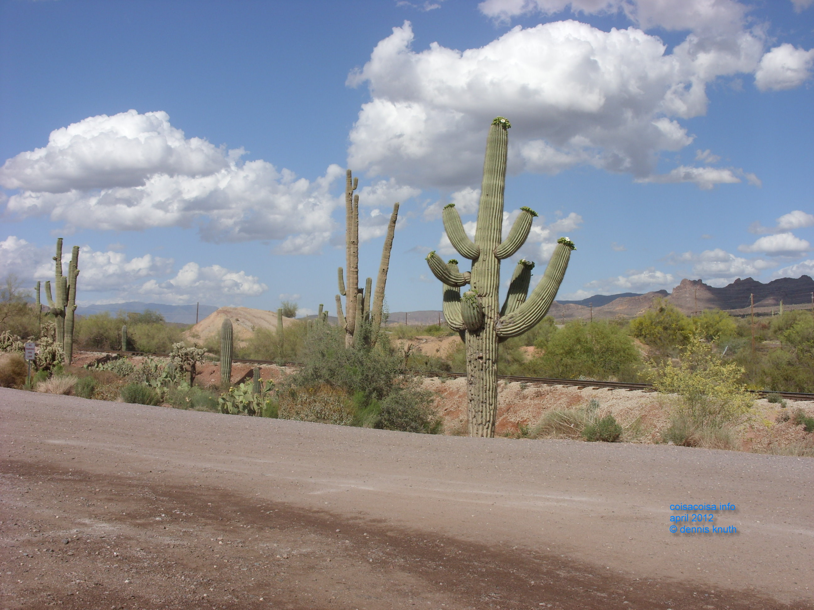 2012_04_26_e_apache_junction_ghost_town_0005.jpg (large)