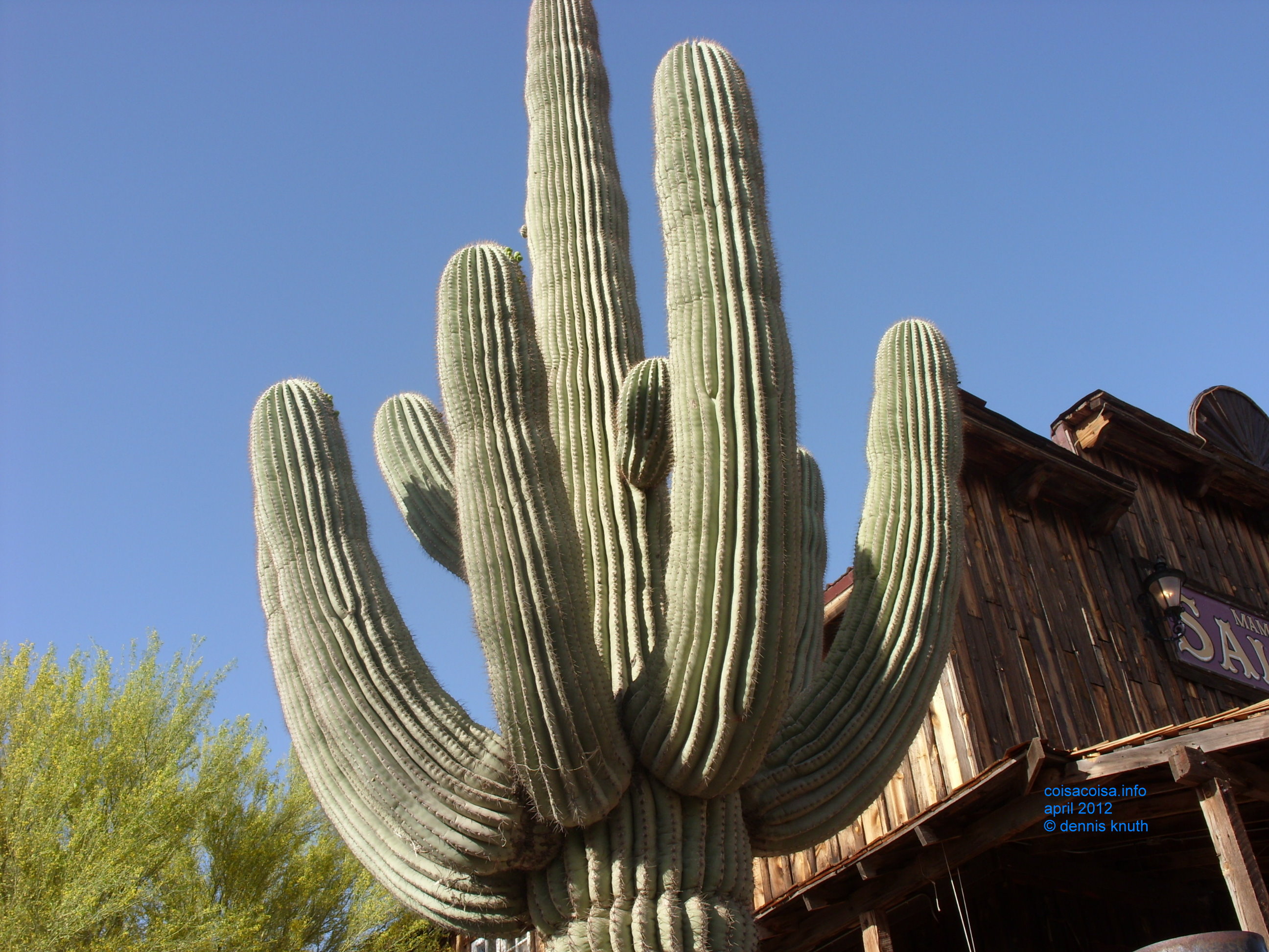 2012_04_26_e_apache_junction_ghost_town_0033.jpg (large)