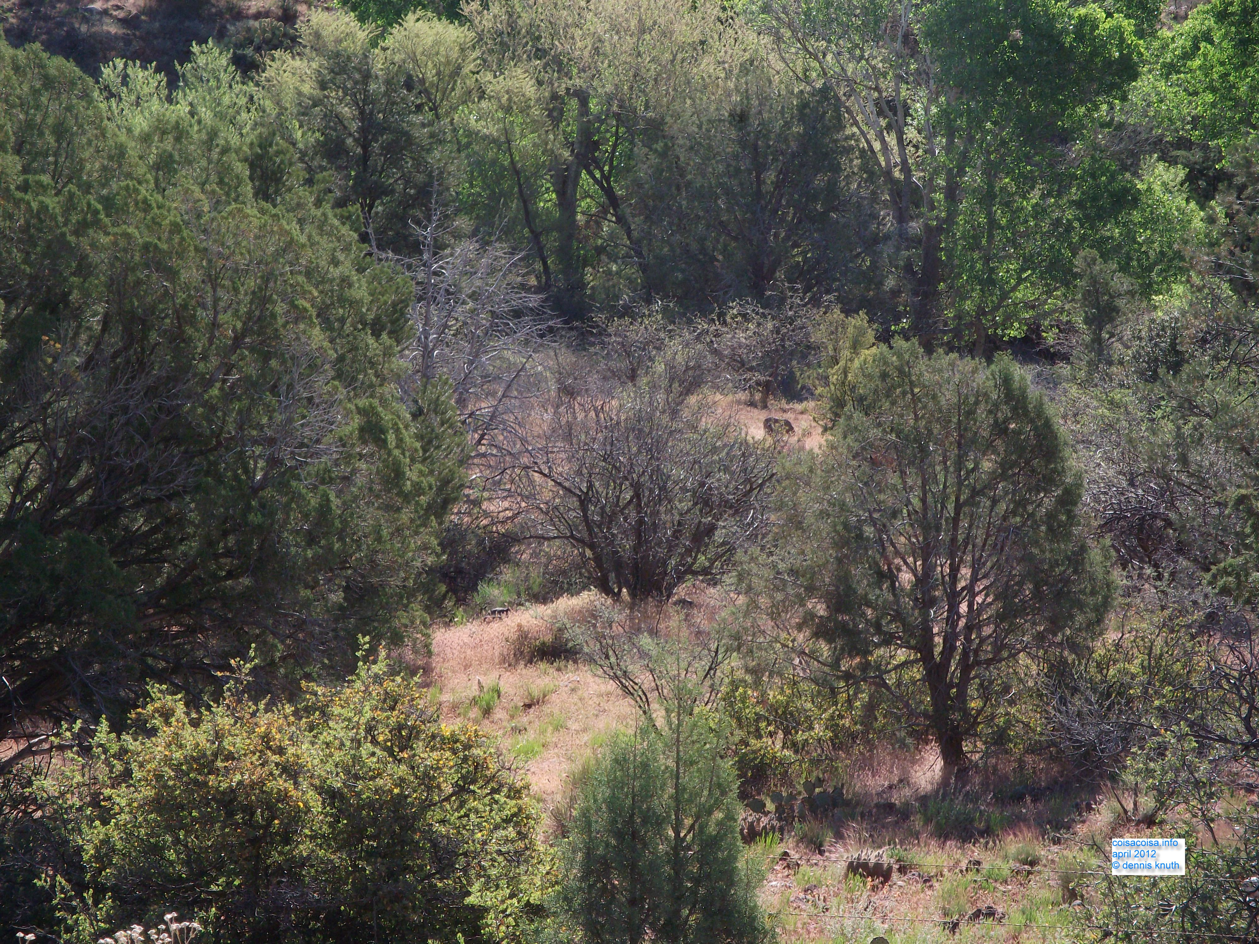2012_04_27_sedona_sk_0002.jpg (large)