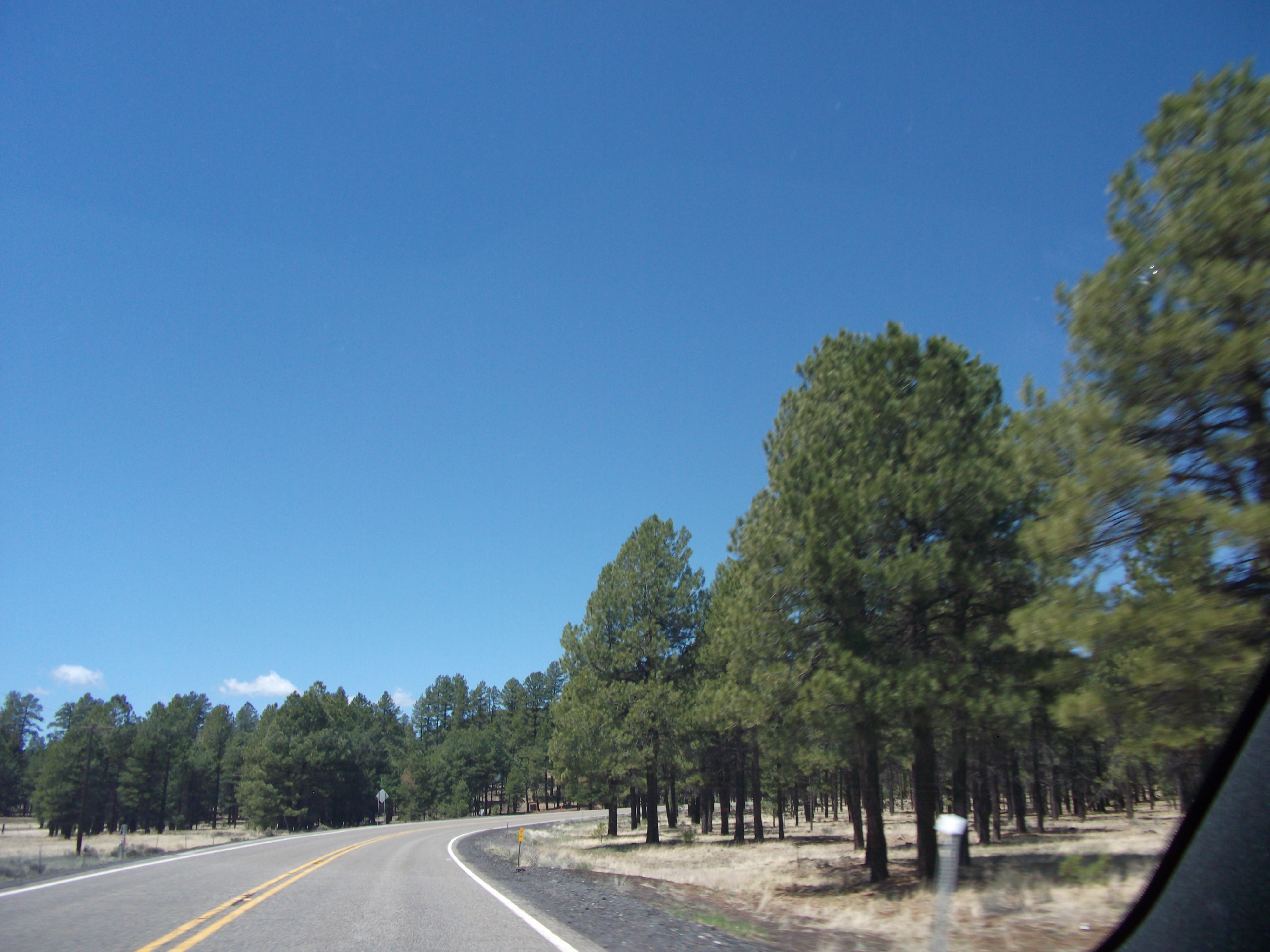 2012_04_27_flagstaff_sk_0024.jpg (large)