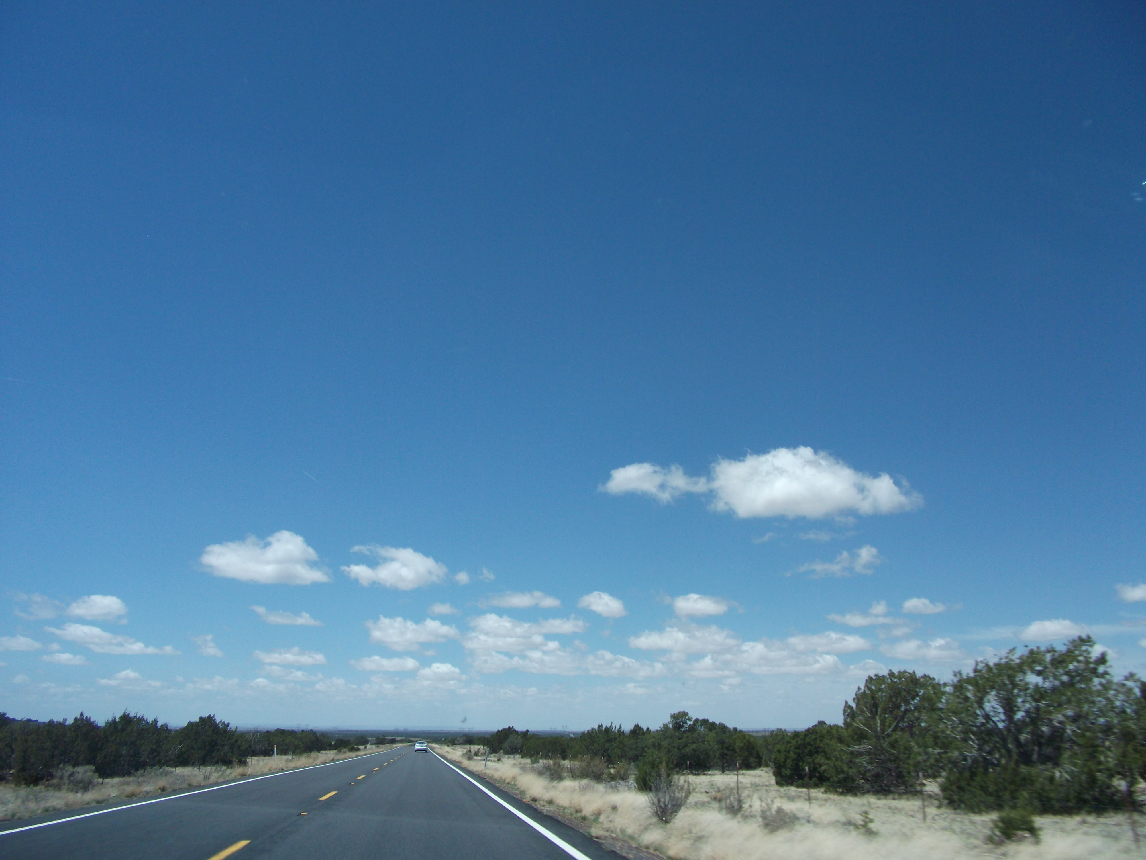 2012_04_27_flagstaff_sk_0035.jpg (large)