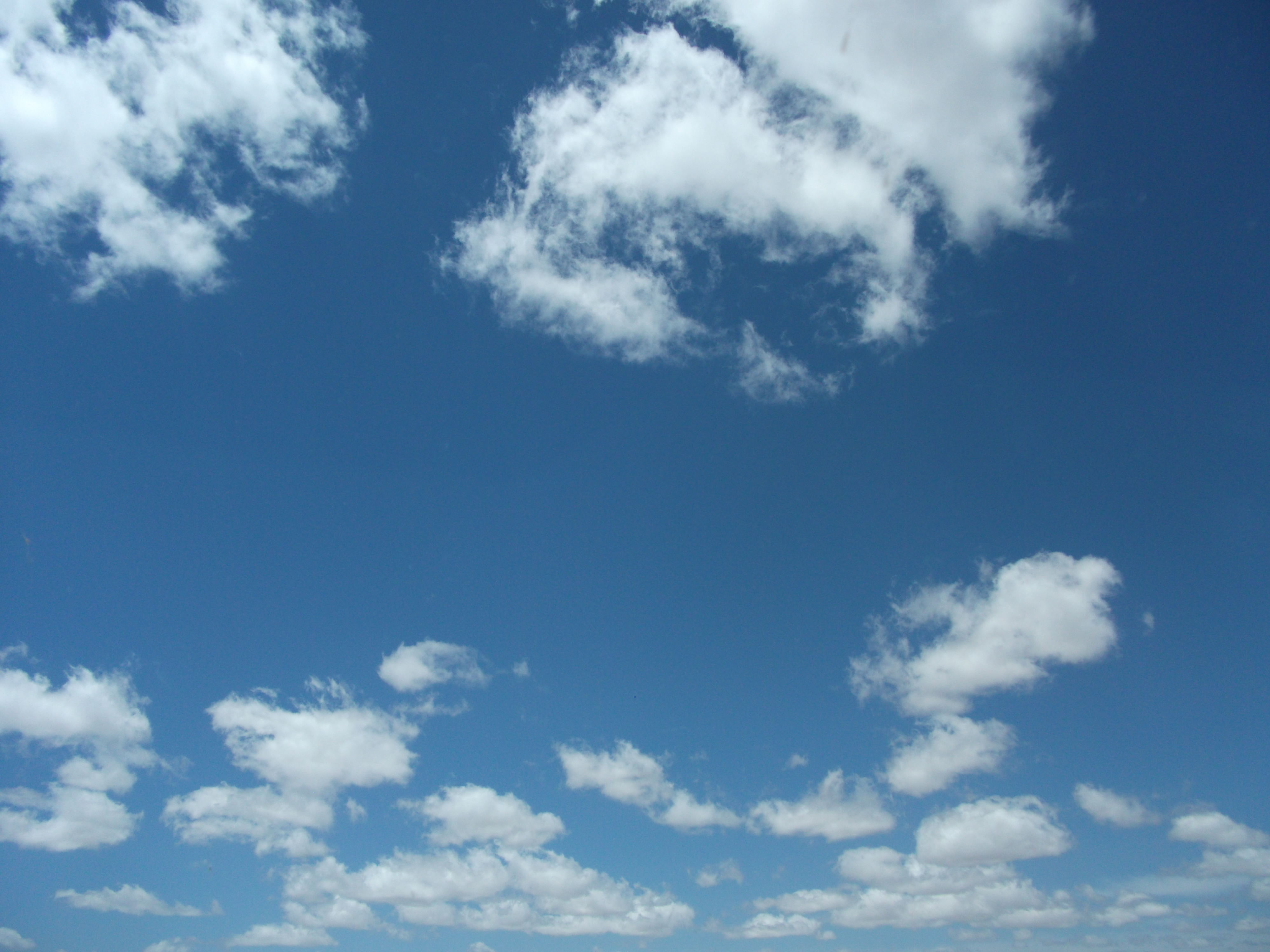 2012_04_27_flagstaff_sk_0036.jpg (large)