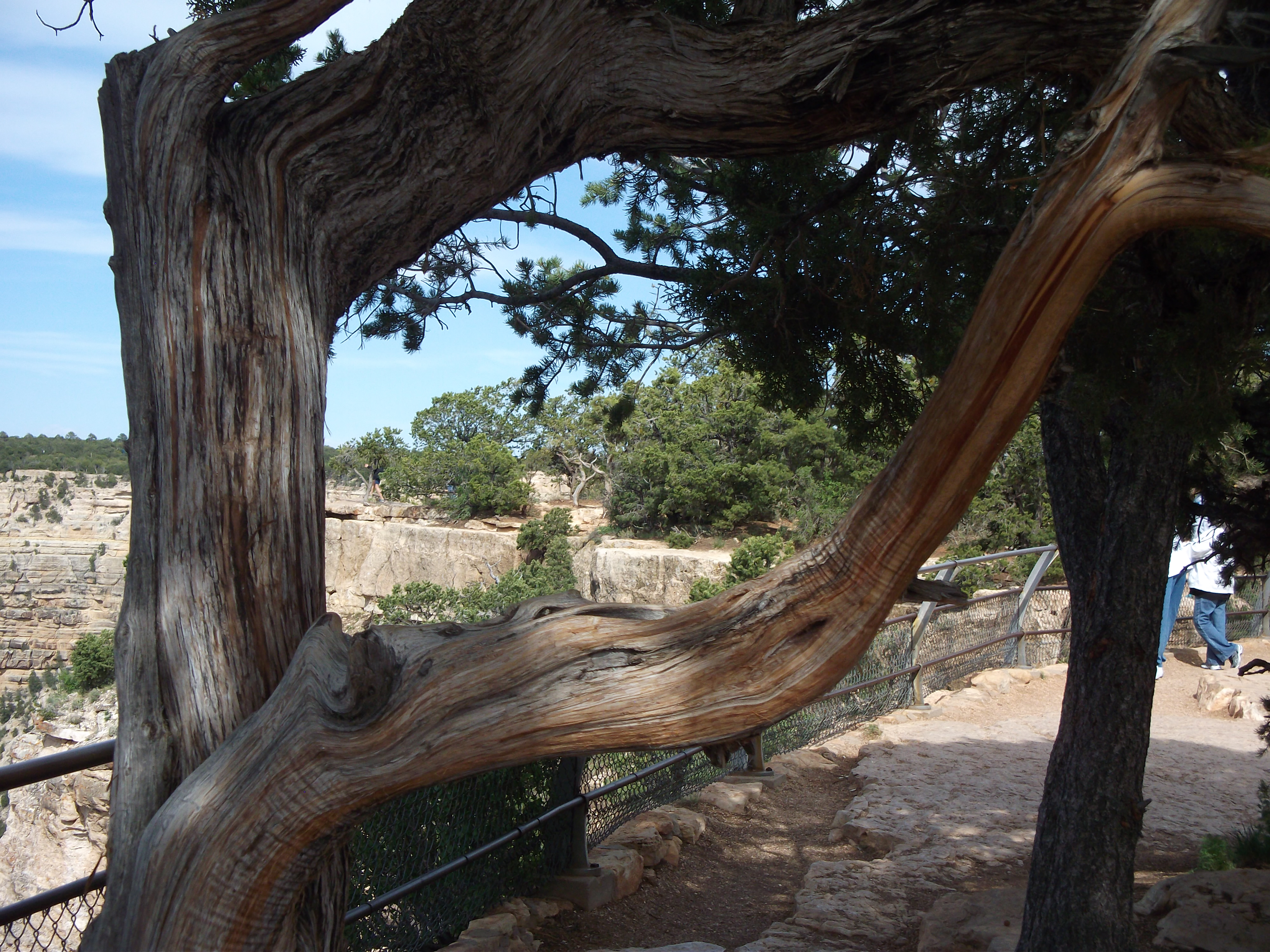 2012_04_27_grand_sk_0127.jpg (large)