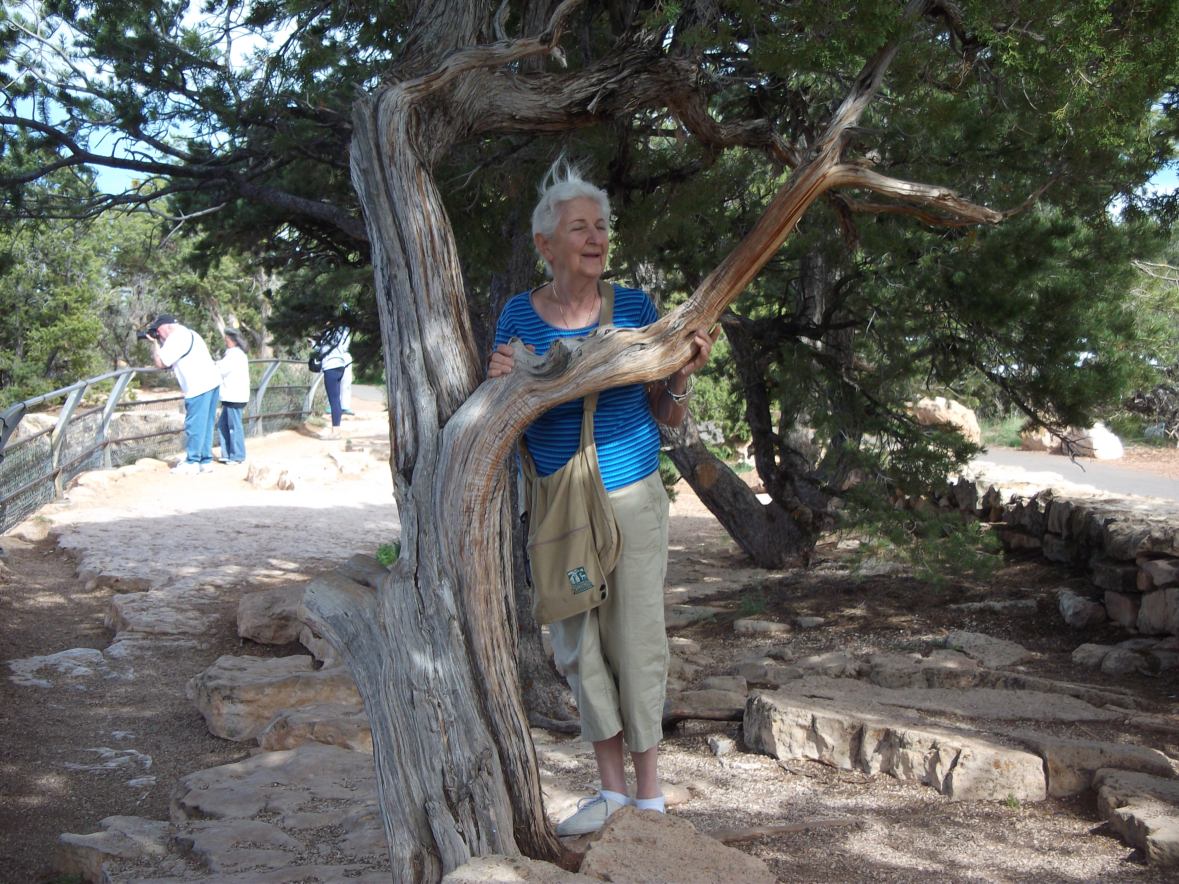 Stella Kakavales at the Crack of a Tree Trunk