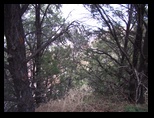 2012_04_27_grand_sk_0066.jpg