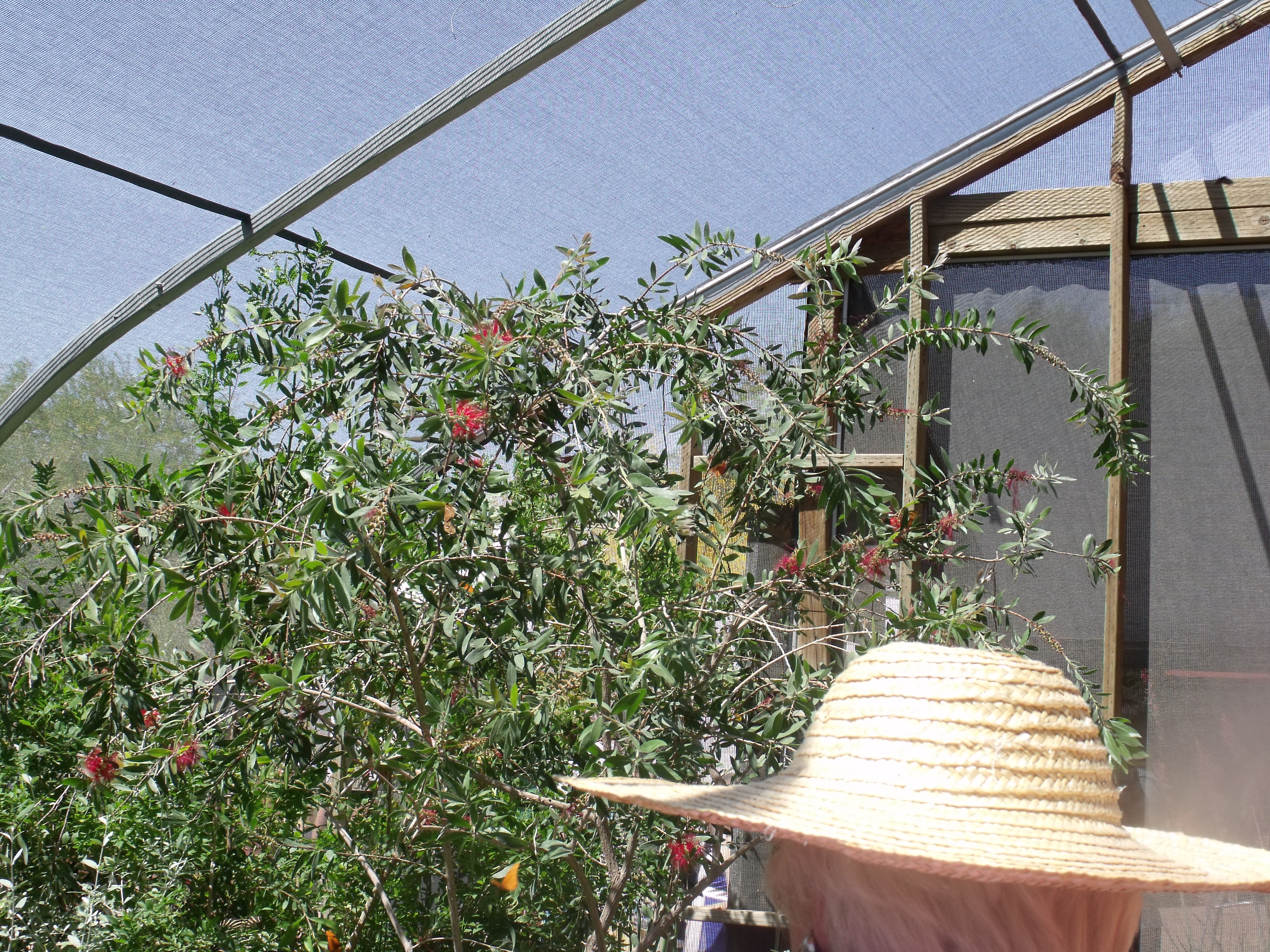 2012_04_28_botanical_dk_0014.jpg (large)