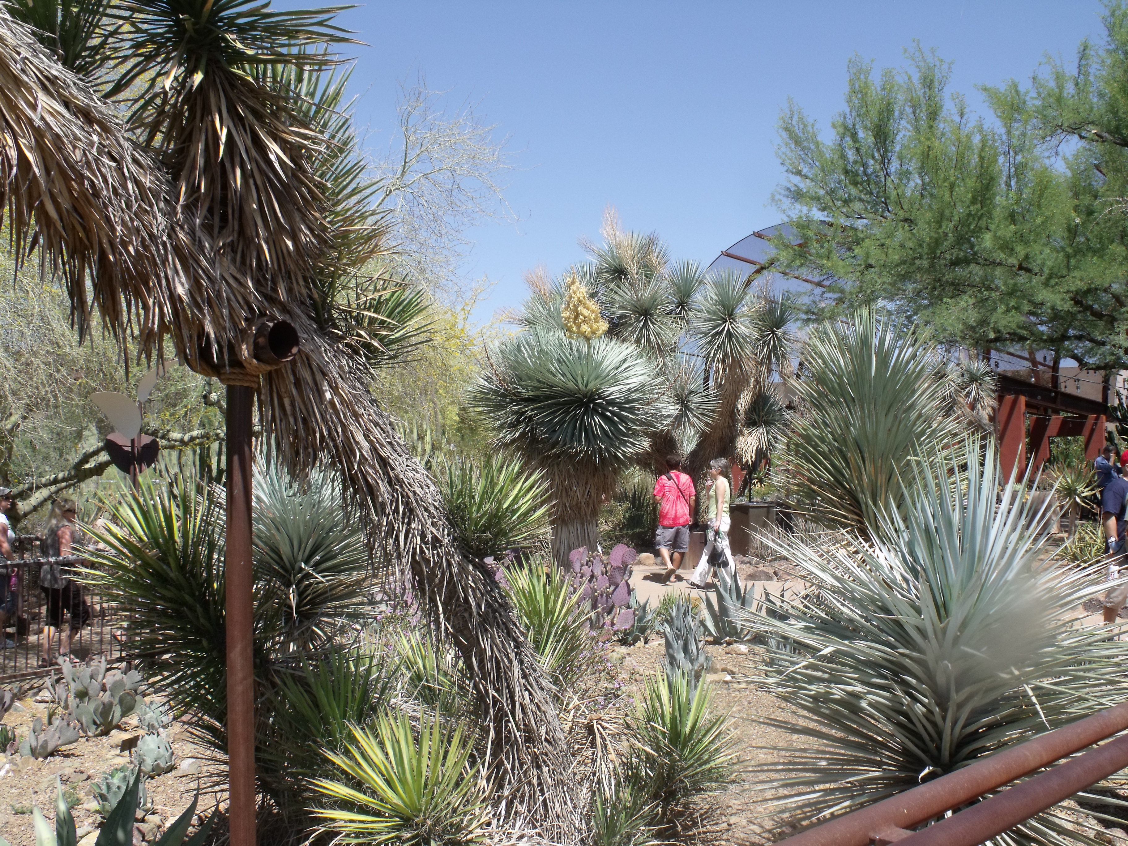 2012_04_28_botanical_dk_0020.jpg (large)