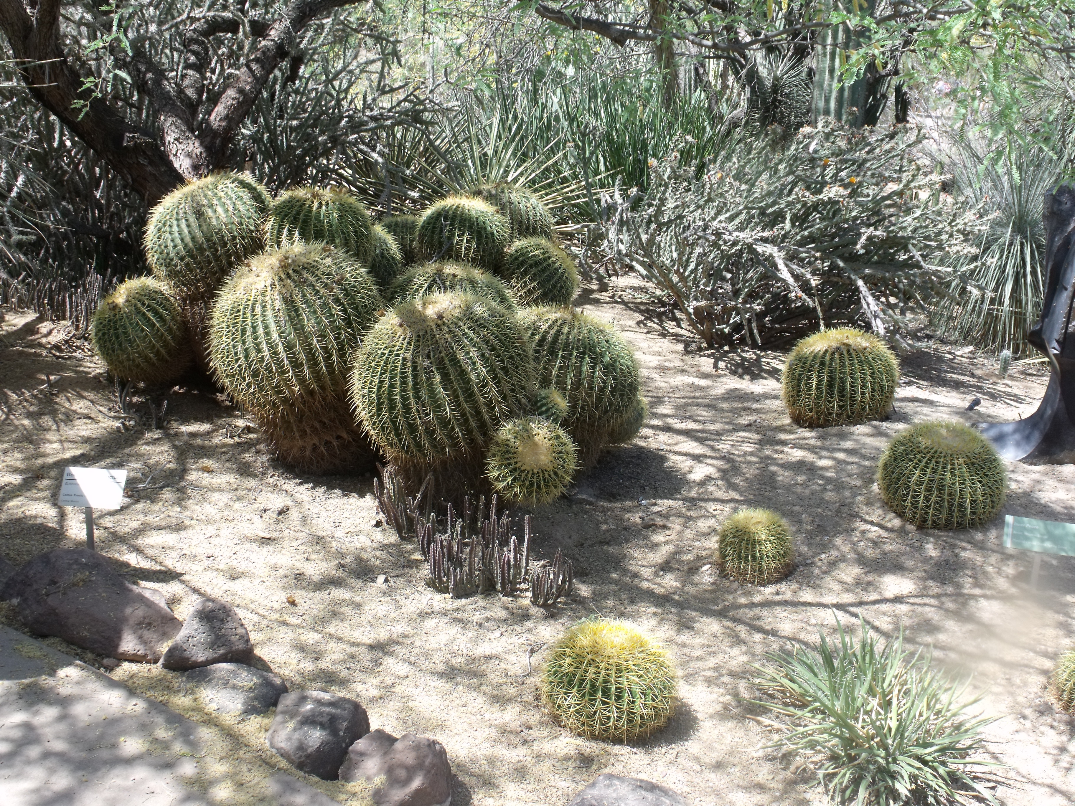 2012_04_28_botanical_dk_0027.jpg (large)