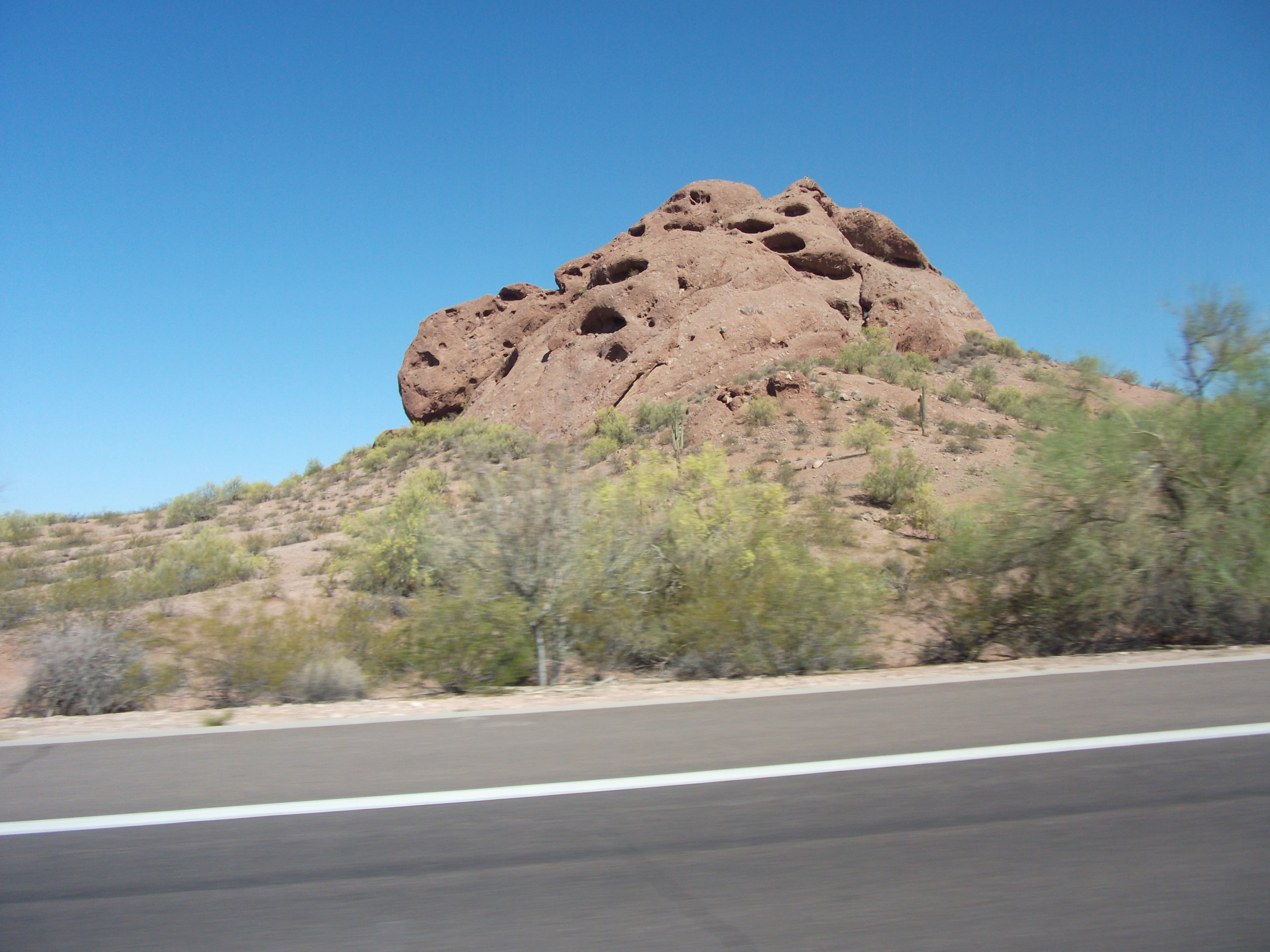 2012_04_28_botanical_sk_0005.jpg (large)