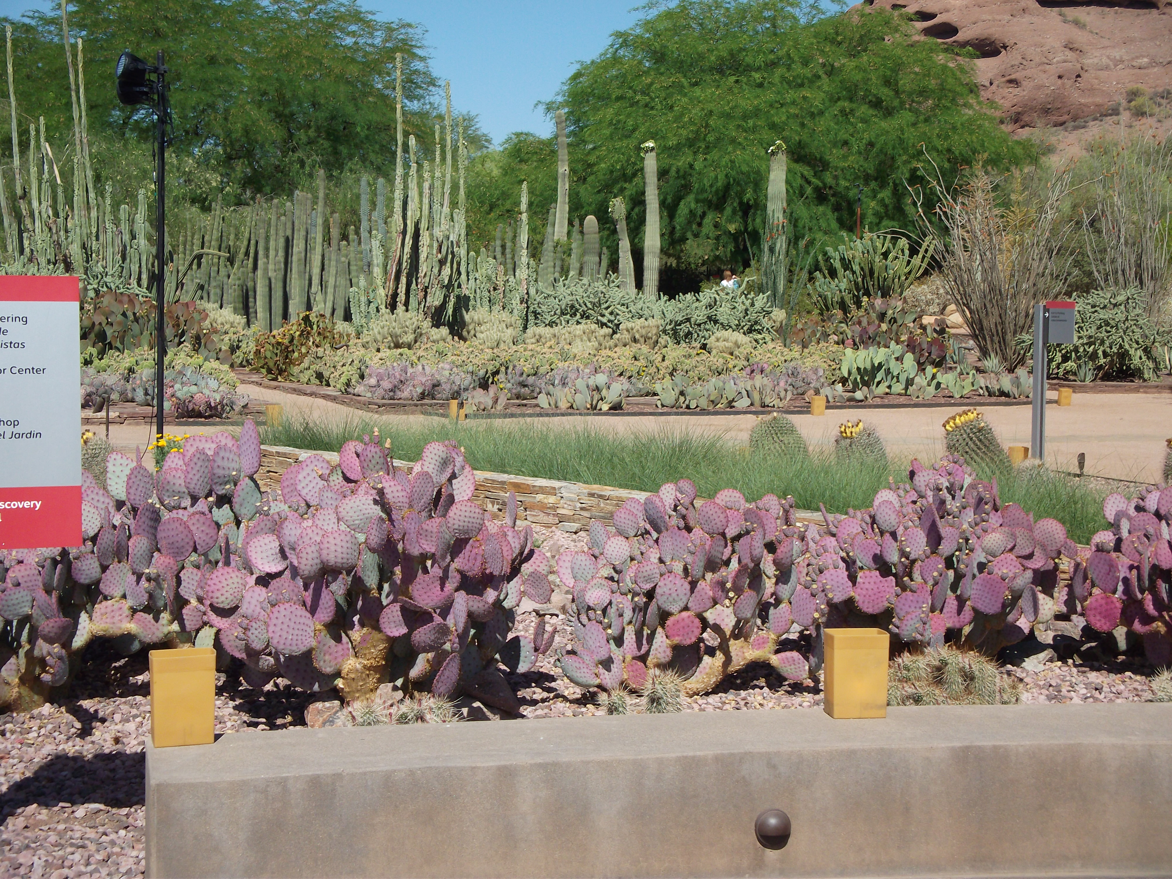 2012_04_28_botanical_sk_0007.jpg (large)