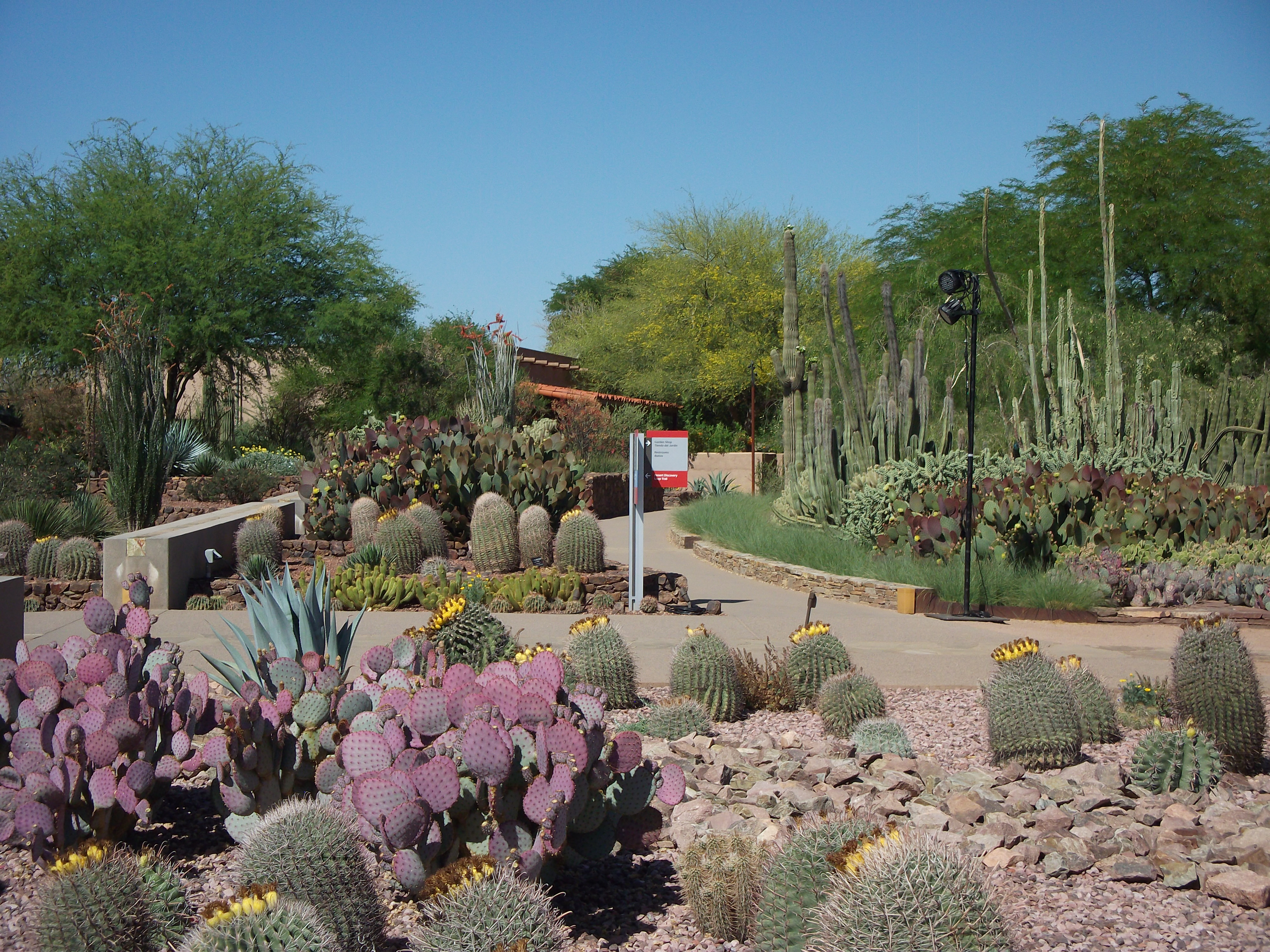 2012_04_28_botanical_sk_0009.jpg (large)