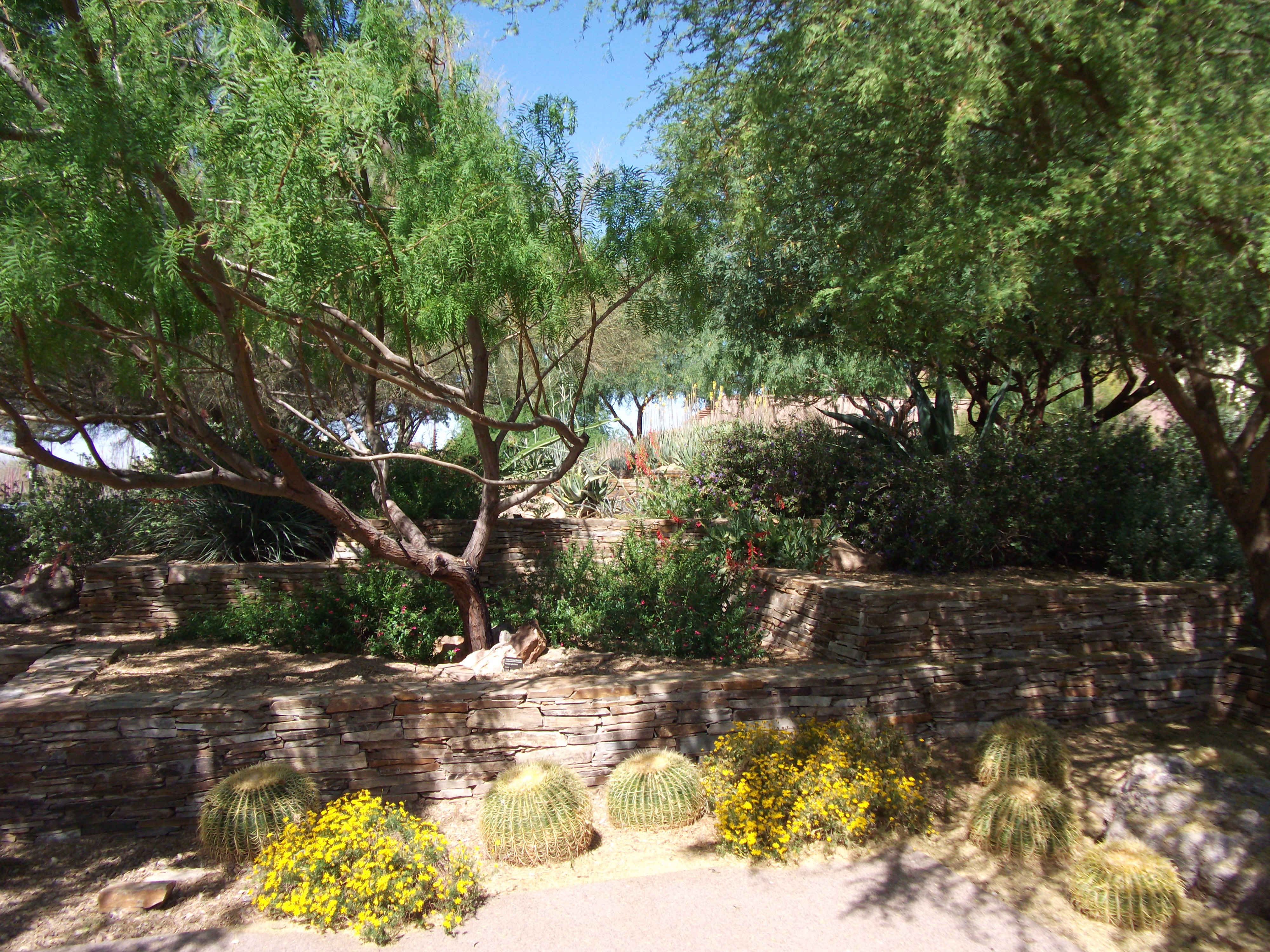 2012_04_28_botanical_sk_0018.jpg (large)